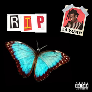 欧美BBBBBB性XXXXXX
