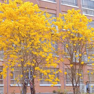 欧美BBBBBB性XXXXXX
